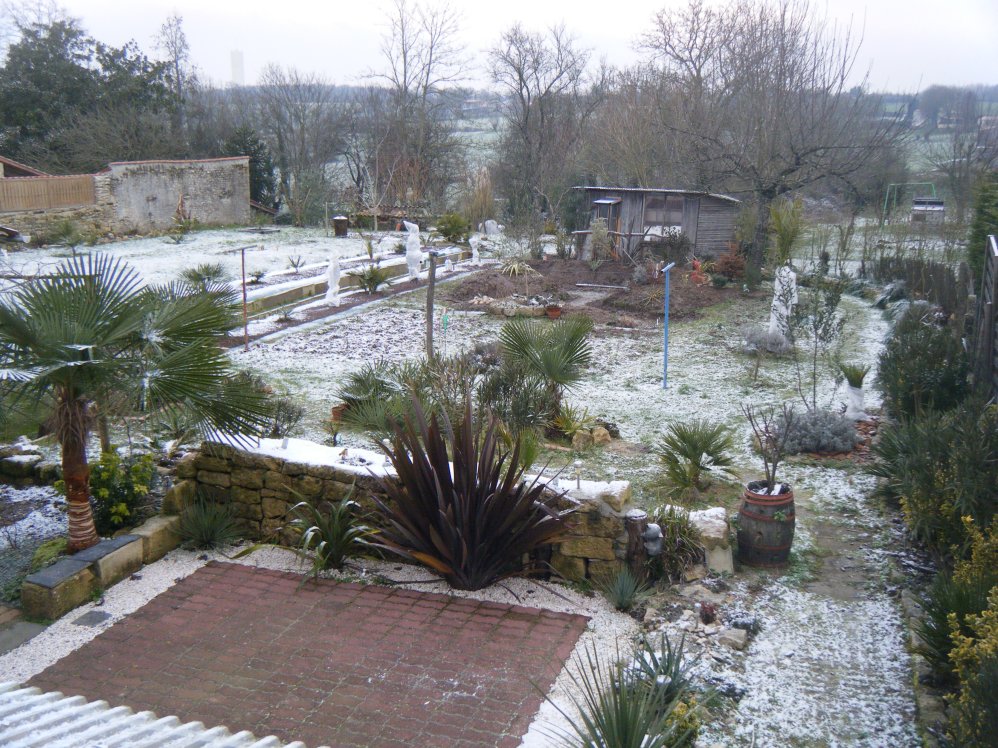 DSCF1605 (copie).JPG