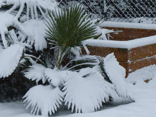 P1020447fh.jpg