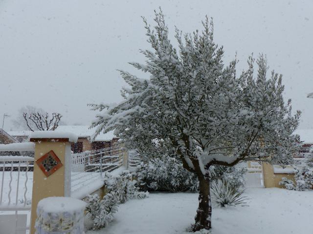 P1020463fh.jpg