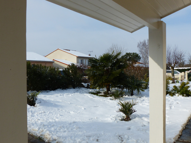 P1020469fh.jpg