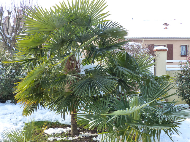 P1020474fh.jpg