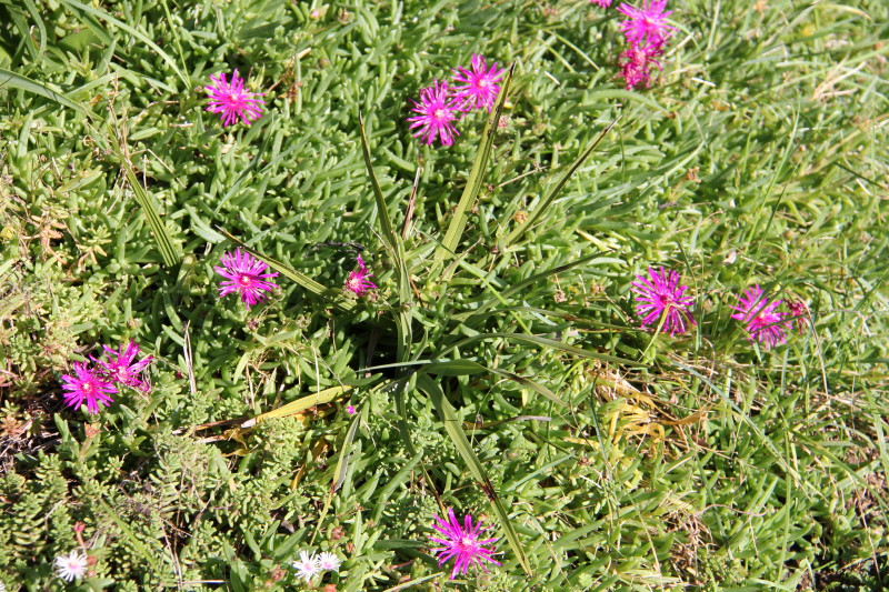 20141017_8254_1.JPG