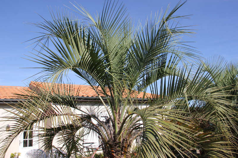 20141017_8268_1.JPG