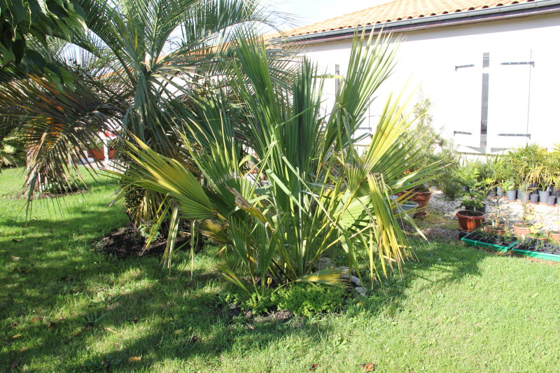 20141017_8280_1.JPG