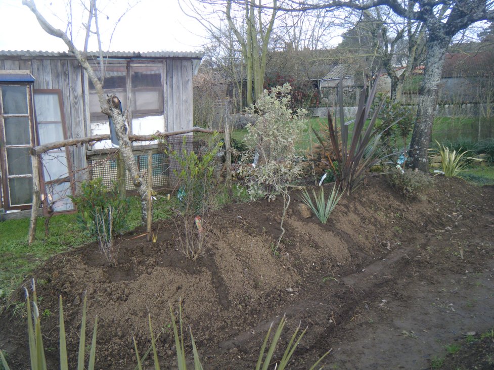 DSCF1556.JPG