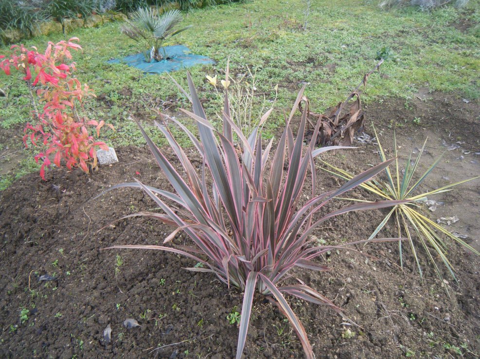 DSCF1560.JPG