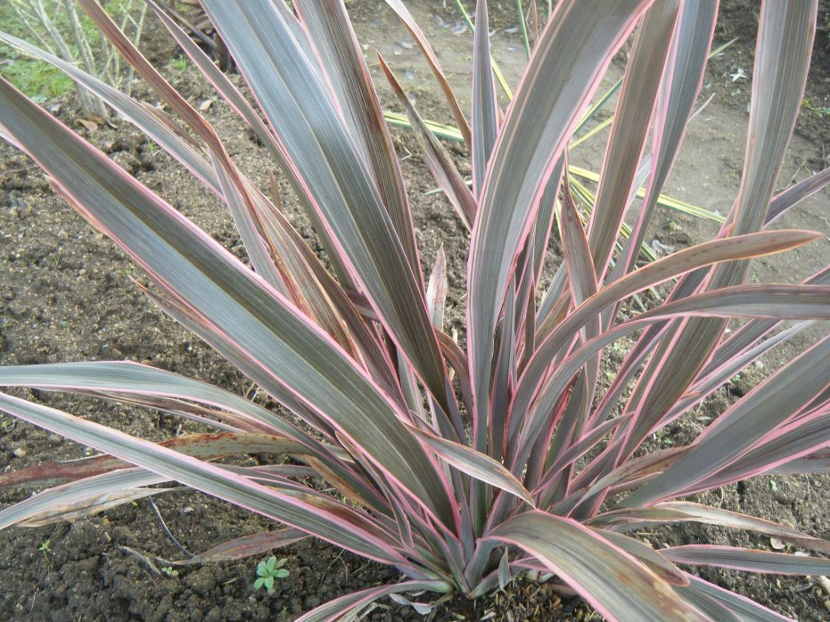 DSCF1561.JPG