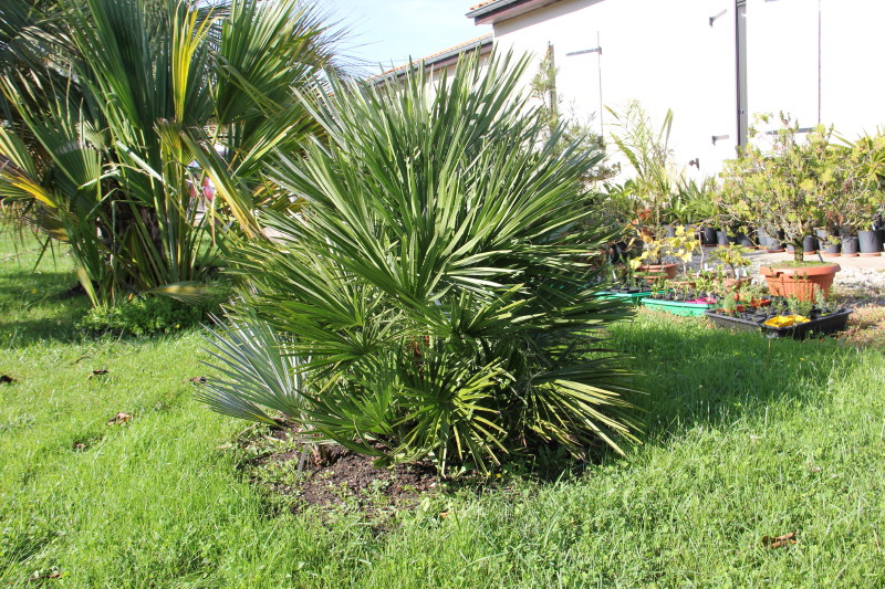 20141017_8314_1.JPG