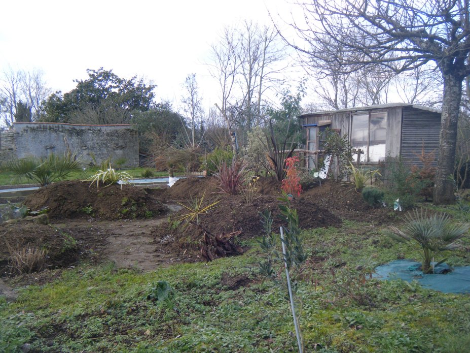 DSCF1564.JPG