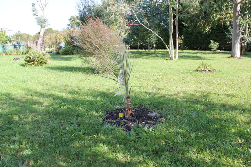 20141017_8323_1.JPG