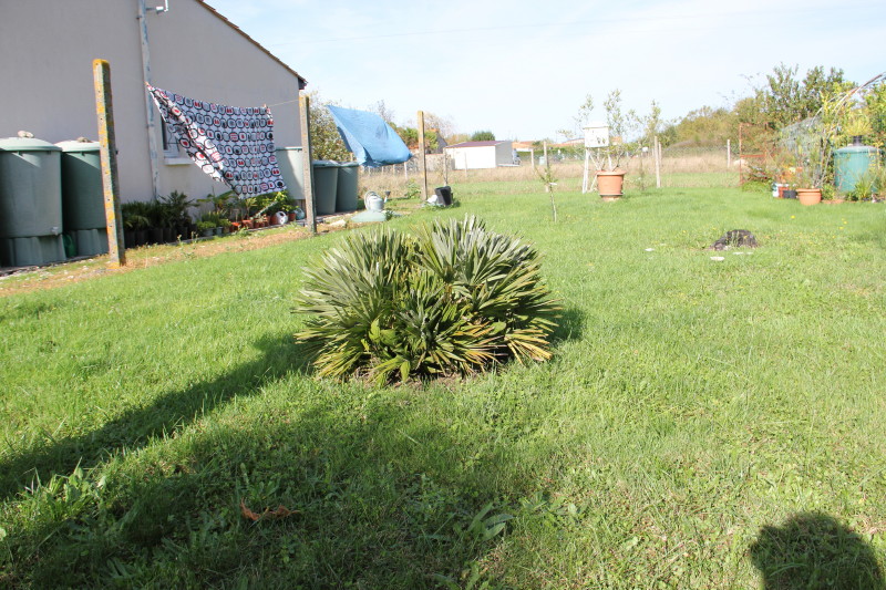 20141017_8459_1.JPG