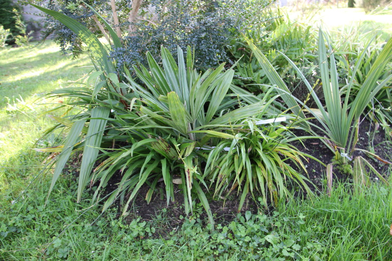 20141017_8650_1.JPG