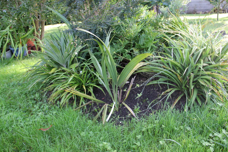 20141017_8648_1.JPG