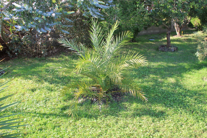 20141017_8788_1.JPG