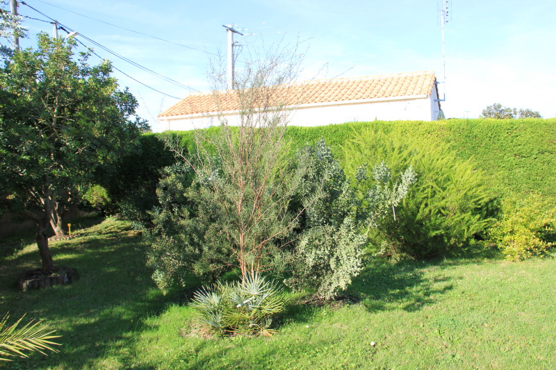 20141017_8795_1.JPG