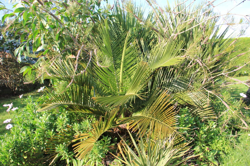 20141017_8903_1.JPG