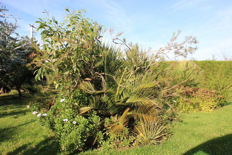 20141017_8900_1.JPG