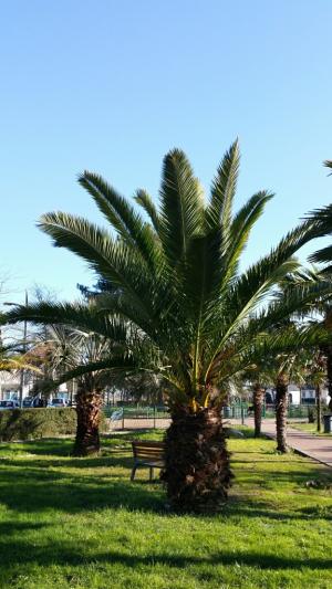 Coueron jardin public fevrier 2015 8.jpg