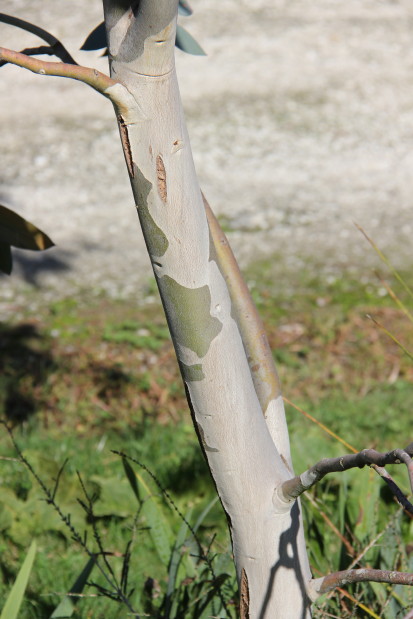 20141017_8125_1.JPG