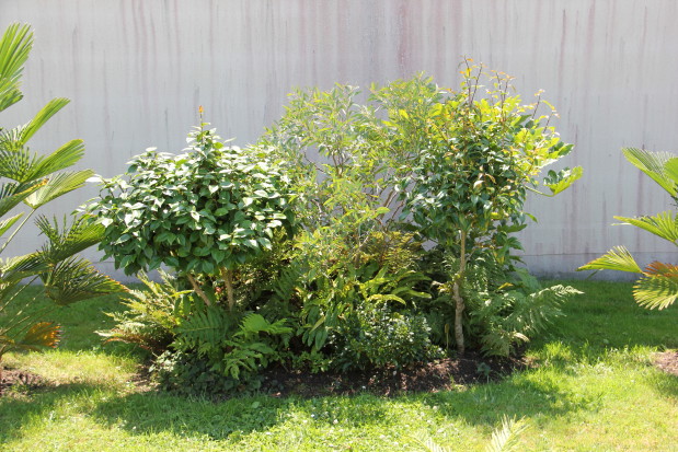 20140722_3427_1.JPG