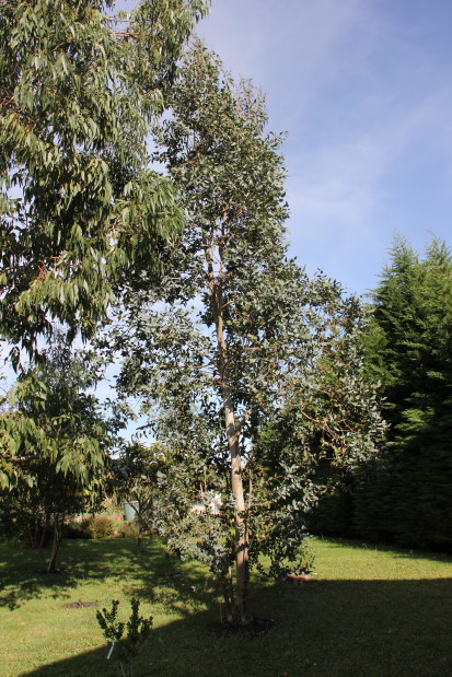 20141017_8406_1.JPG