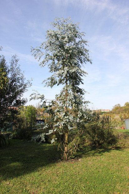 20141017_8565_1.JPG