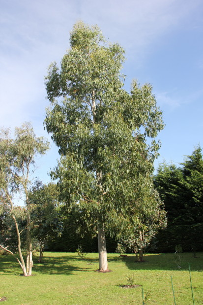 20141017_8432_1.JPG