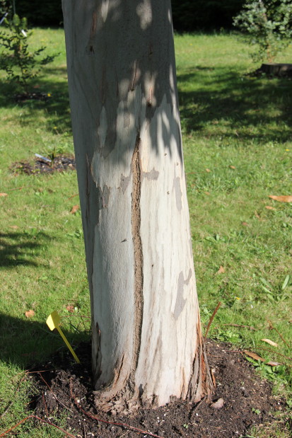 20141017_8442_1.JPG