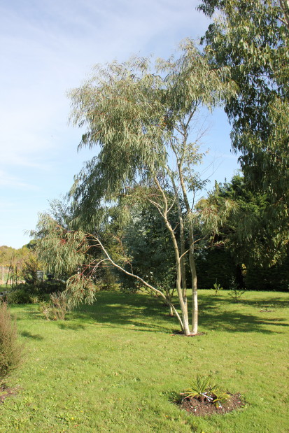 20141017_8445_1.JPG