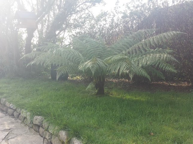 20150212_125923.jpg