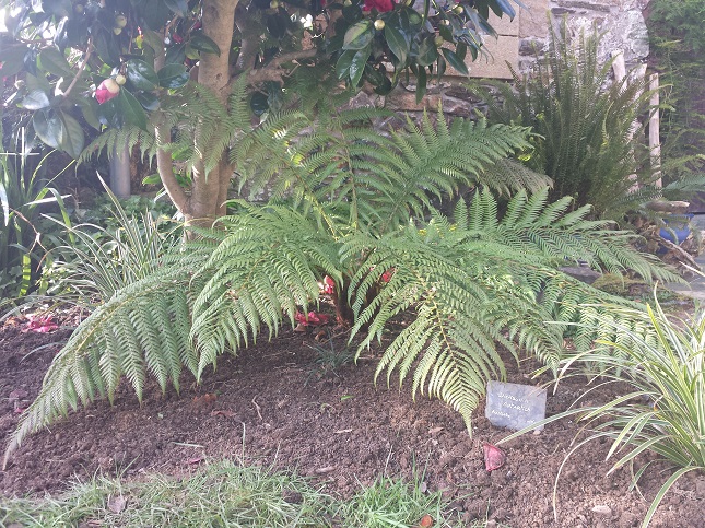 20150212_125713.jpg