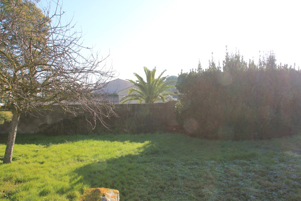 20150211_1852_1.JPG