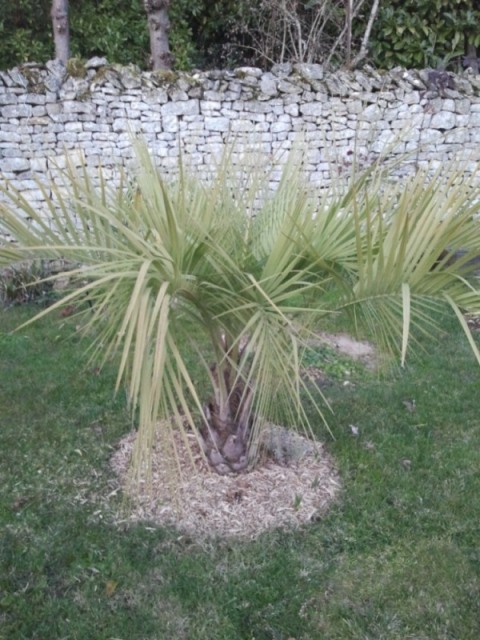 photos port2 093.jpg