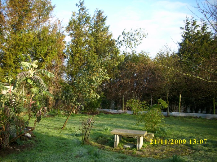 DSCI0354.JPG