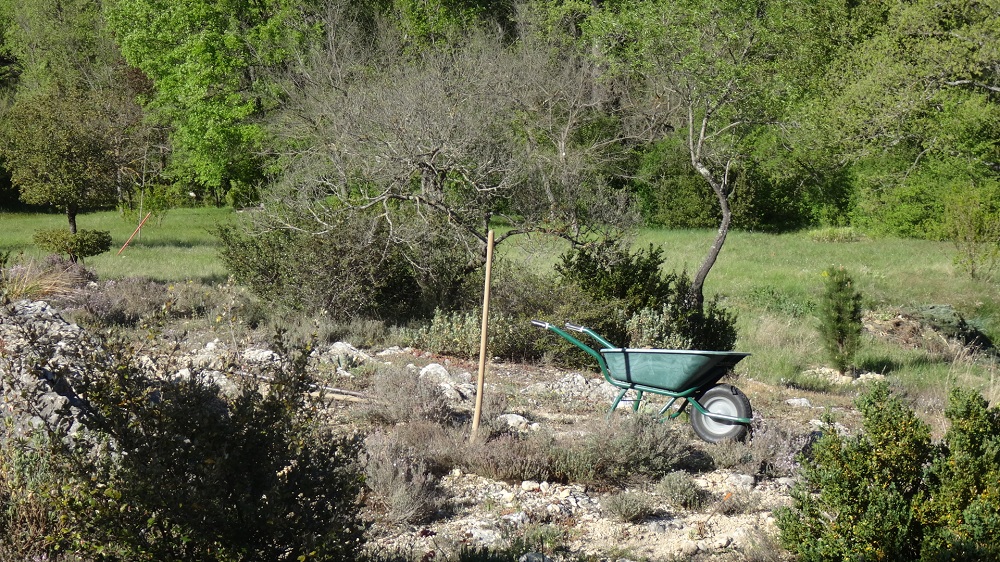 DSC00416.JPG