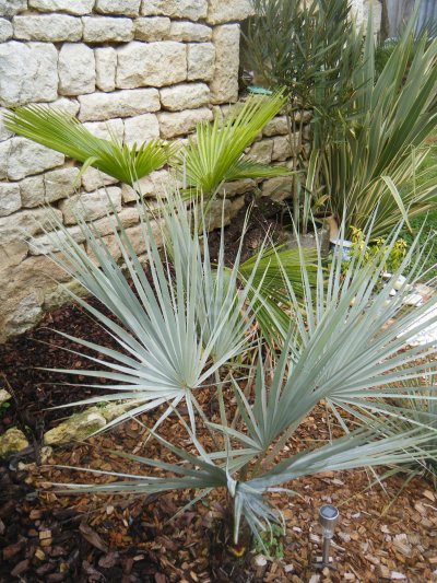 DSCF1769.JPG