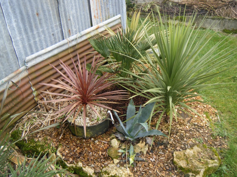 DSCF1764.JPG