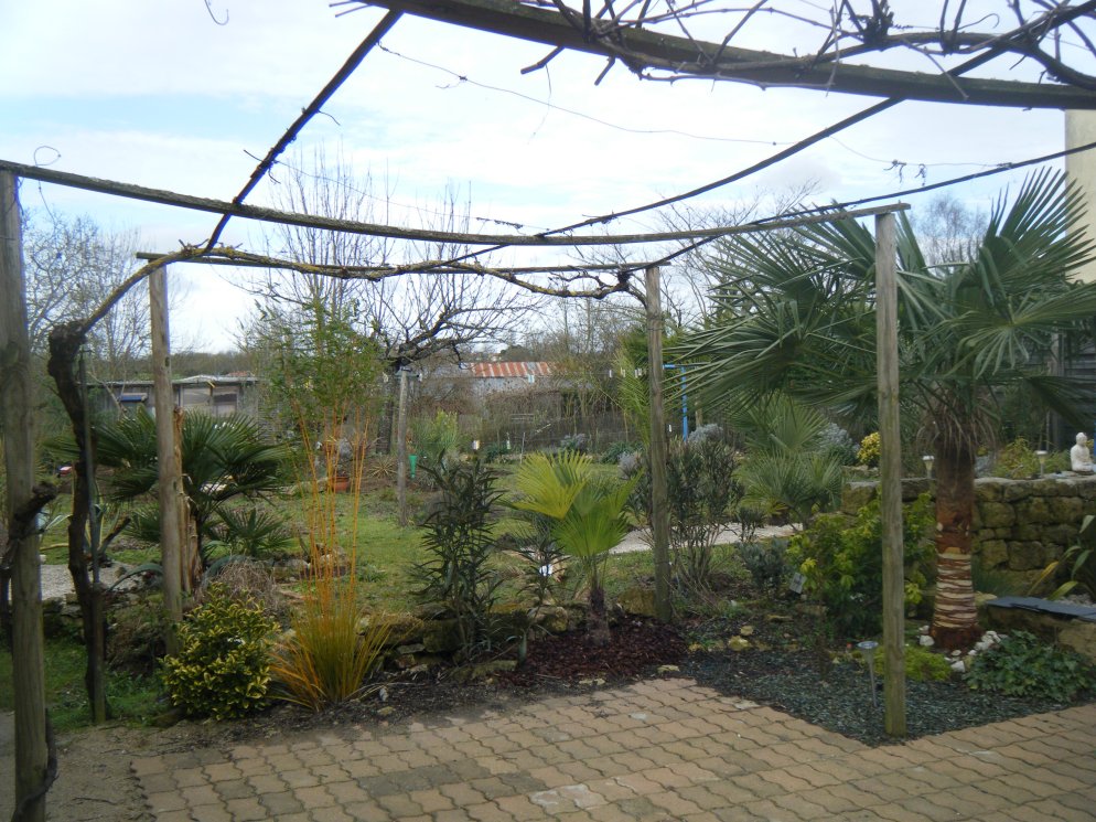 DSCF1780.JPG