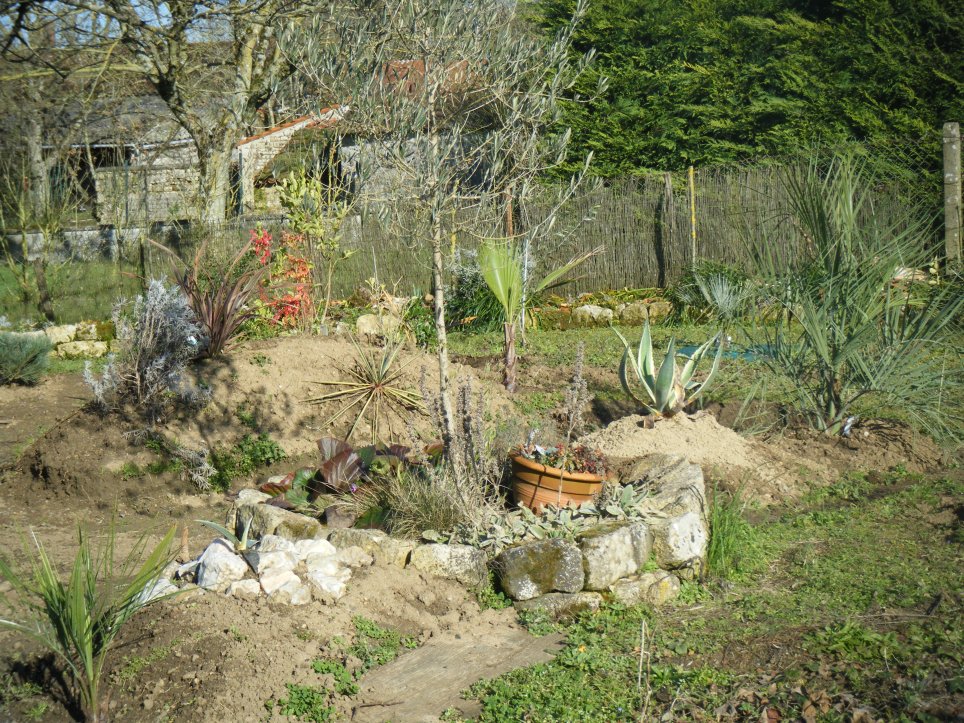 DSCF1801.JPG