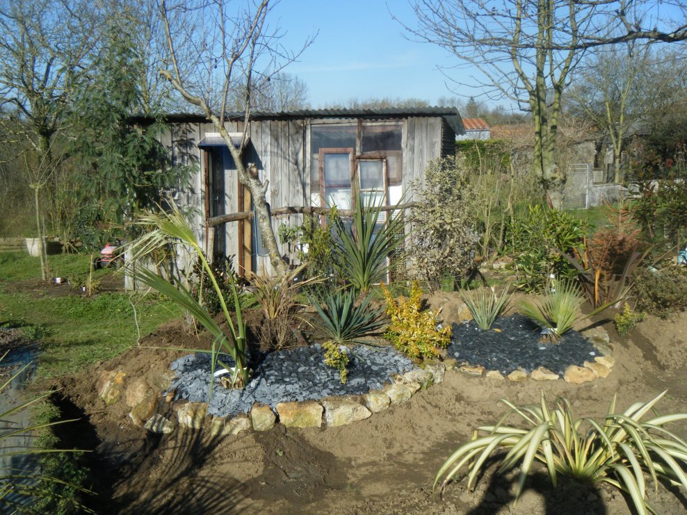 DSCF1796.JPG
