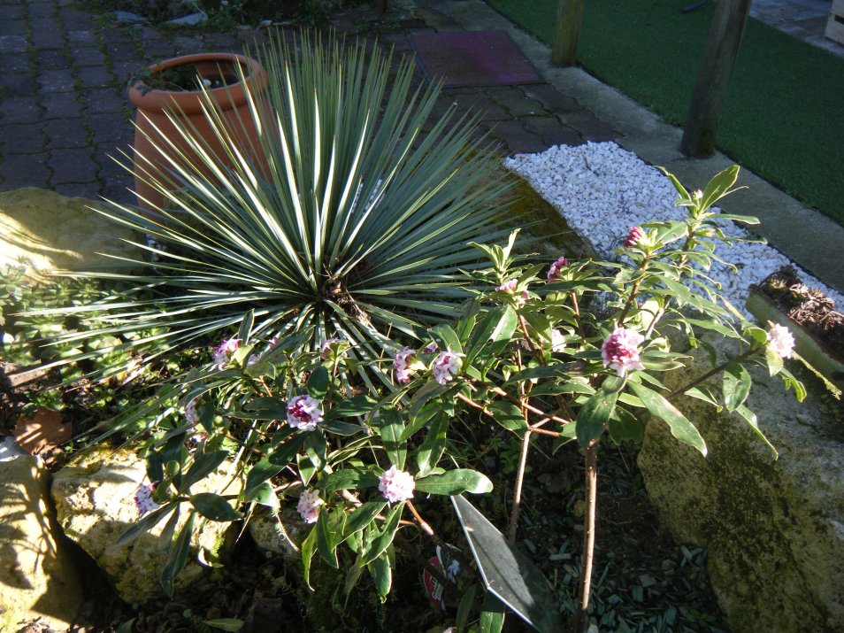 DSCF1807.JPG