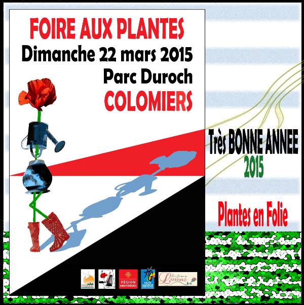 web-PLANTES-EN-FOLIE-VOEUX-2015.jpg