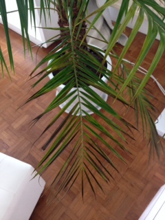 photo 3.JPG