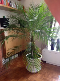 photo 5.JPG