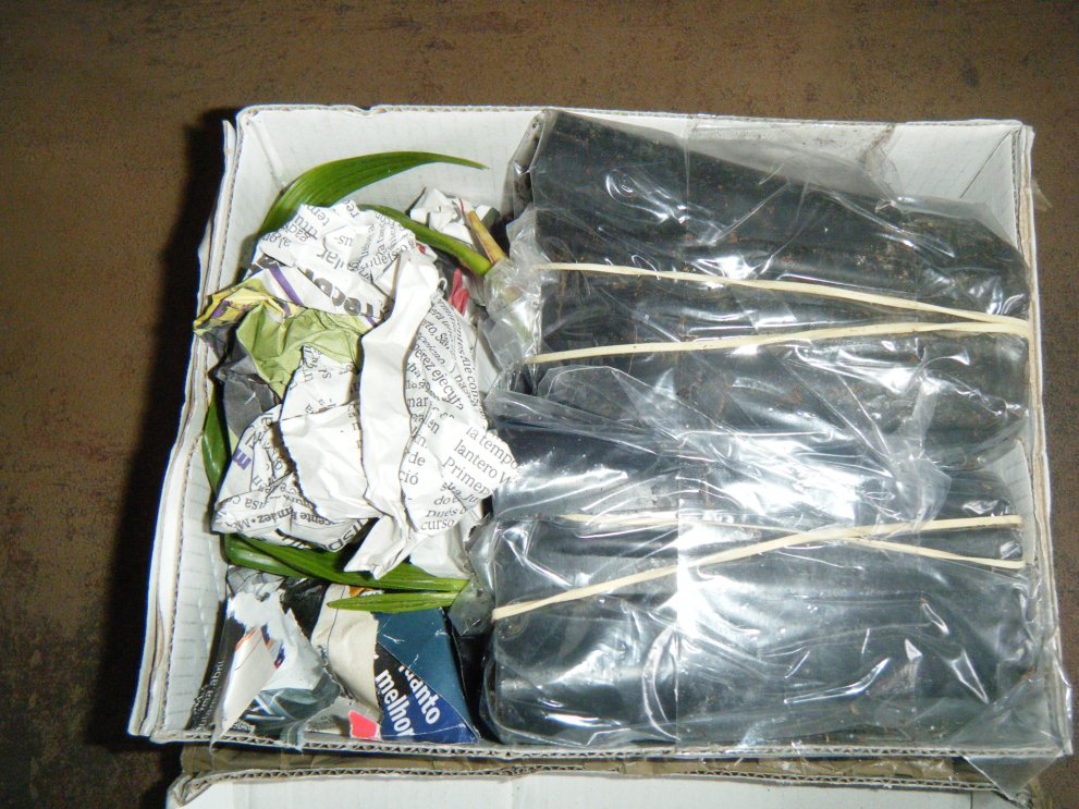 DSCF1818 (copie).JPG