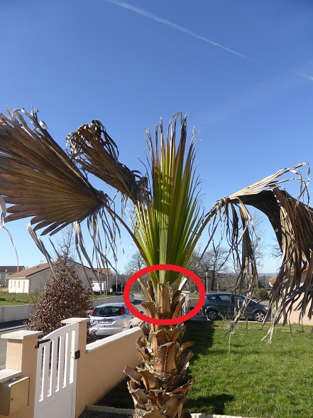 P1020455hh.jpg