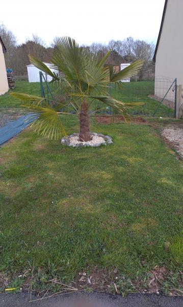 IMAG0414 bis.jpg
