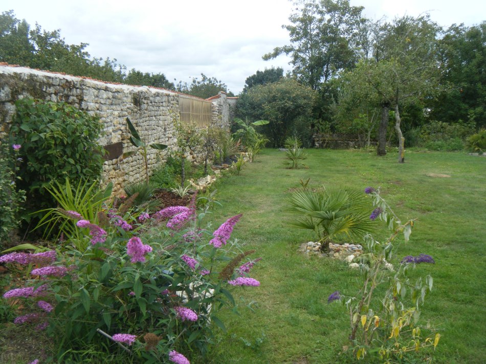 au fond du jardin en limite de propriété longeant la parcelle ,on ne les voient pas ,j'ai mis cette année 6 plantules de fortunei