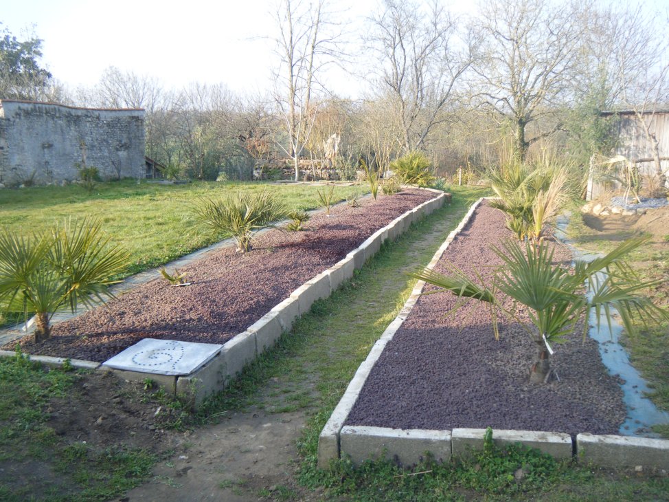 DSCF1833.JPG
