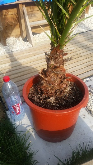 20150319_092510.jpg